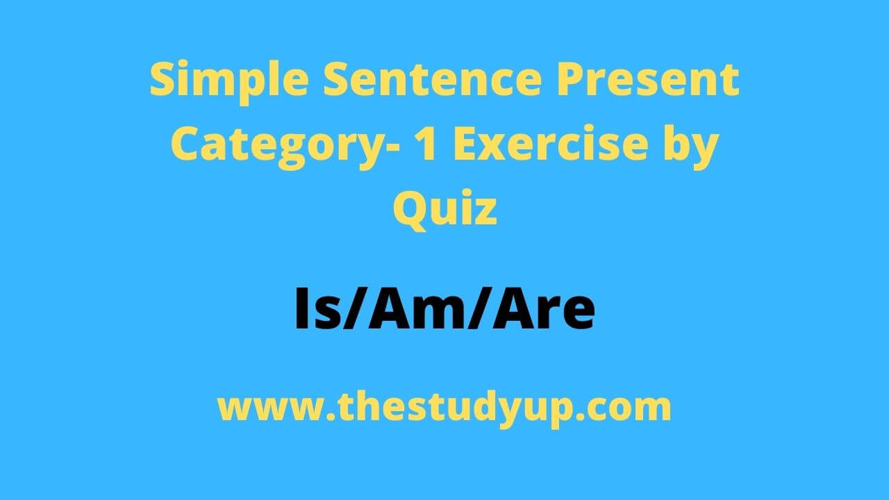 Simple Sentence Present Category 1 Exercise By Quiz TheStudyUp